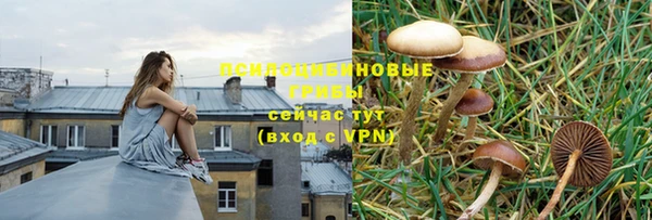 ГАЛЛЮЦИНОГЕННЫЕ ГРИБЫ Нефтегорск