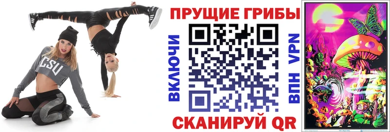 Псилоцибиновые грибы Psilocybine cubensis  Мензелинск 